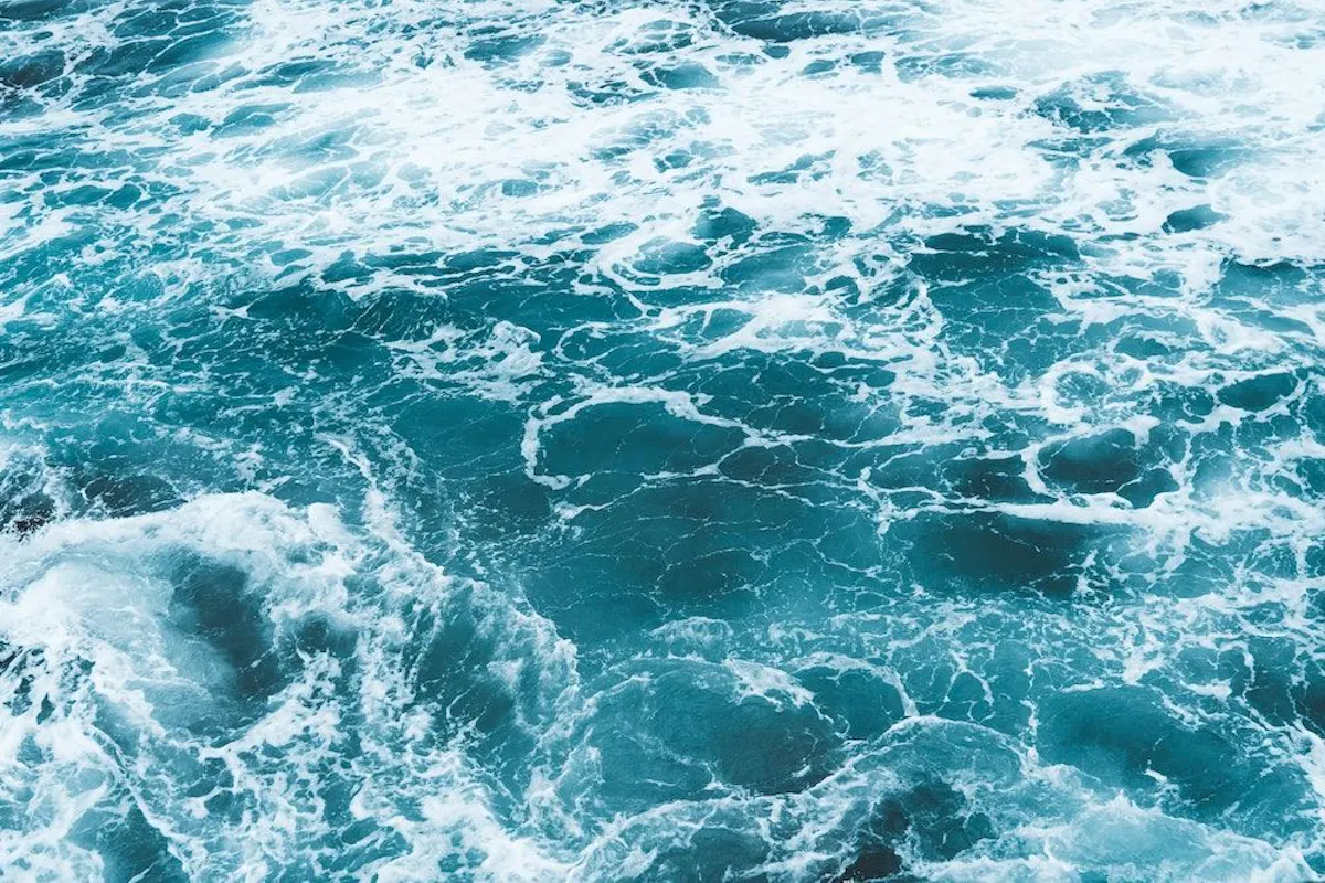 What Is Ocean Acidification 