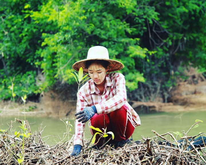 Volunteers planting trees in a reforestation effort.