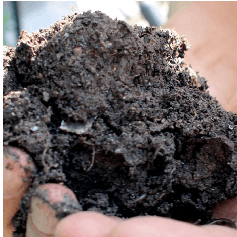 Biochar production